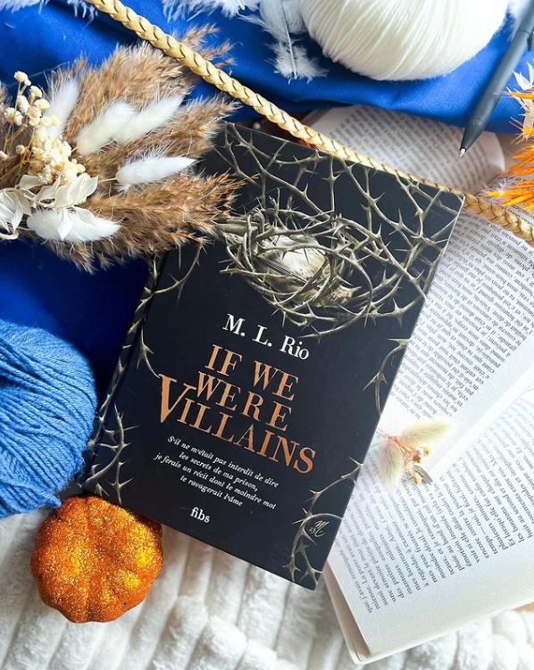image du roman if we were vilains de ml rio roman dark academia lu par la page indigo et recommandé, couverture sombre sur un fond clair